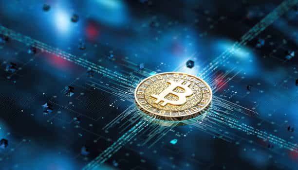 Crypto Ponzi Scheme Refund